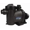 Pompe Astral Glass Plus 1 CV / 15,50 M³/h Tri - Astral Pool