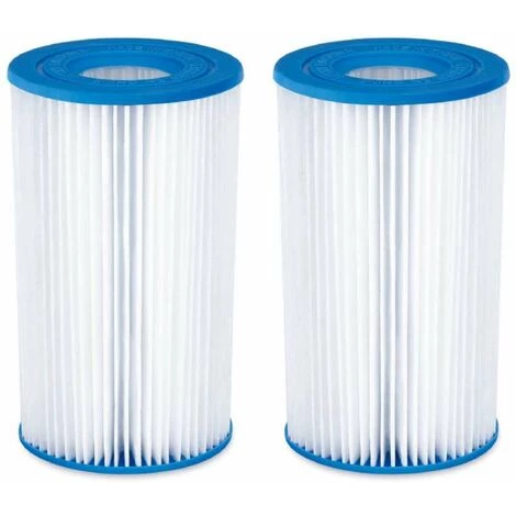 Lot De 2 Cartouches Filtres Type A/C Summer Waves