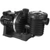 Pompe Piscine - Sta-Rite SW-5P6R - 0.75 CV - Mono - Eau De Mer De Sta-Rite