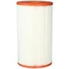 PLEATCO Pin20 Cartouche De Remplacement Pour INTEX Easy Set Piscine B Version, 1 Cartouche - Pleatco Electronic & Filter Corp.