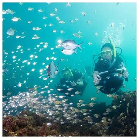 SUINGA Yamaha Seascooter RDS280 Propulseur Aquatique – Image 3