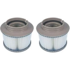 AOUGO Lot De 2 Filtres De Rechange Pour MSPA FD2089 Pour Pompes à Cartouche Pour Tous Les Spas Actuels MSPA
