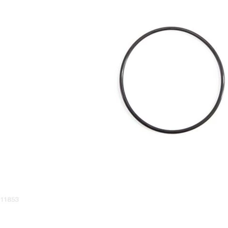 INTEX ELETROLYTIC CELL O-RING FOR 28423/28424