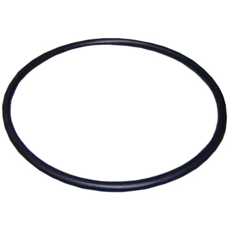 Joint Torique Couvercle Préfiltre Pompes Astralpool