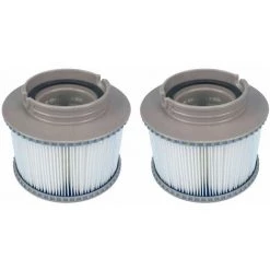 BRIDAY 2 Filtres De Rechange Pour MSPA FD2089, Pompes à Cartouche Pour Tous Les Spas Actuels