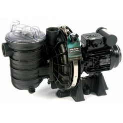 Pompe De Filtration Piscine Pentair Sta-rite 0.75 Cv Mono 5p2rd-1